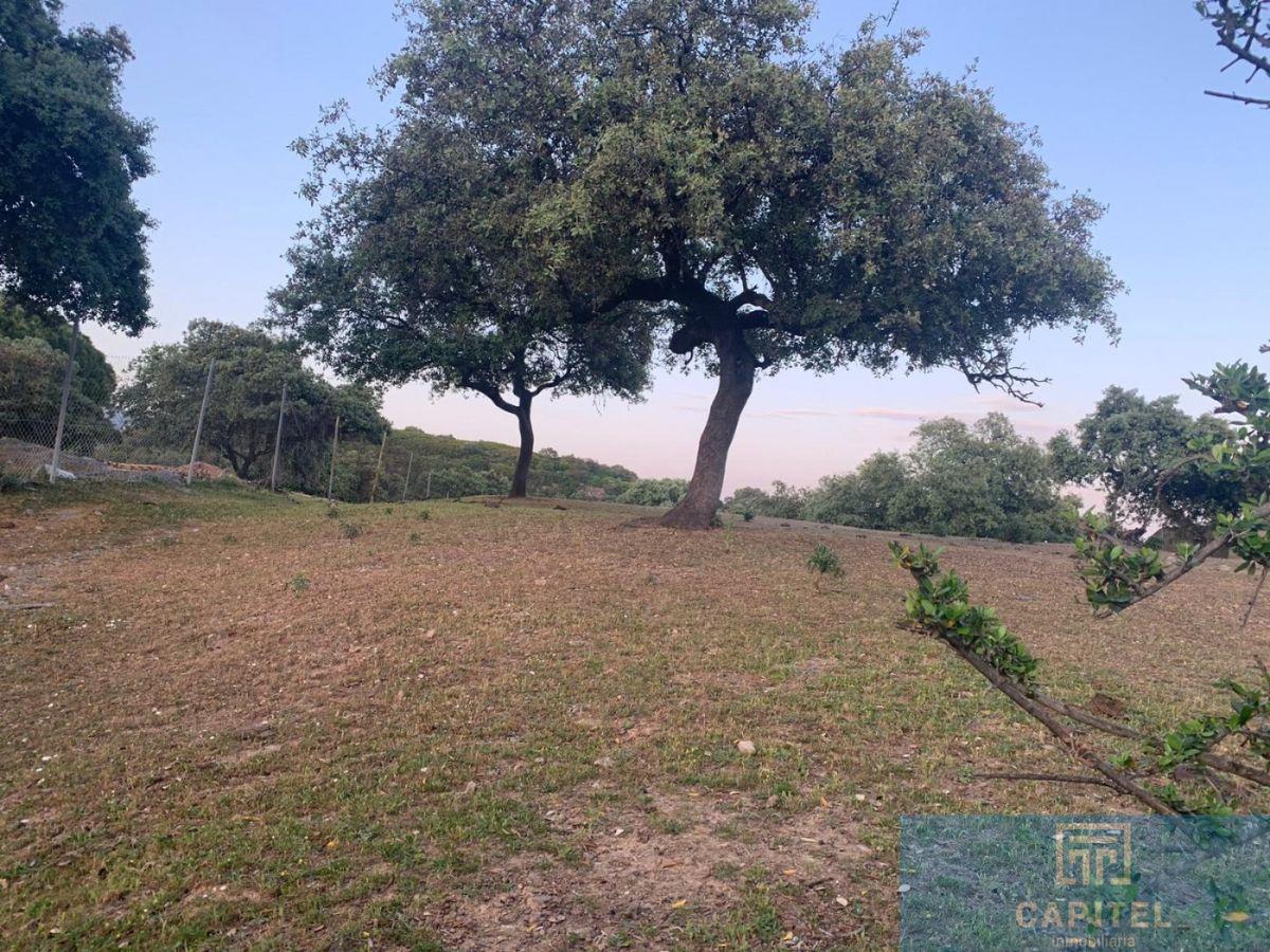 For sale of land in Córdoba