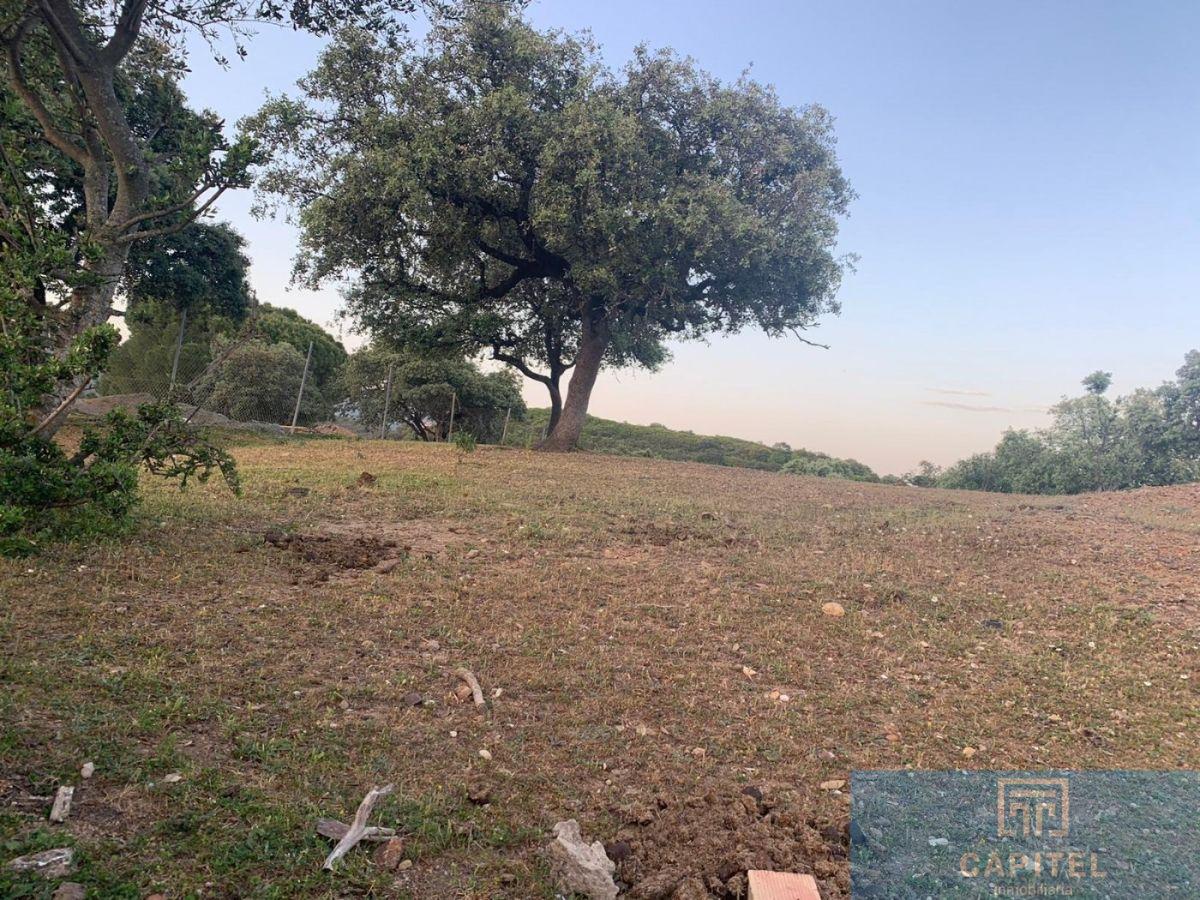 For sale of land in Córdoba