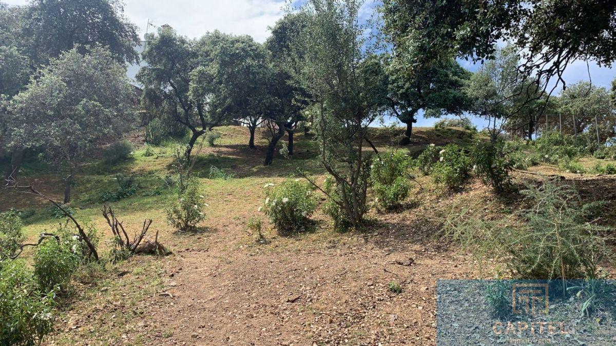 For sale of land in Córdoba