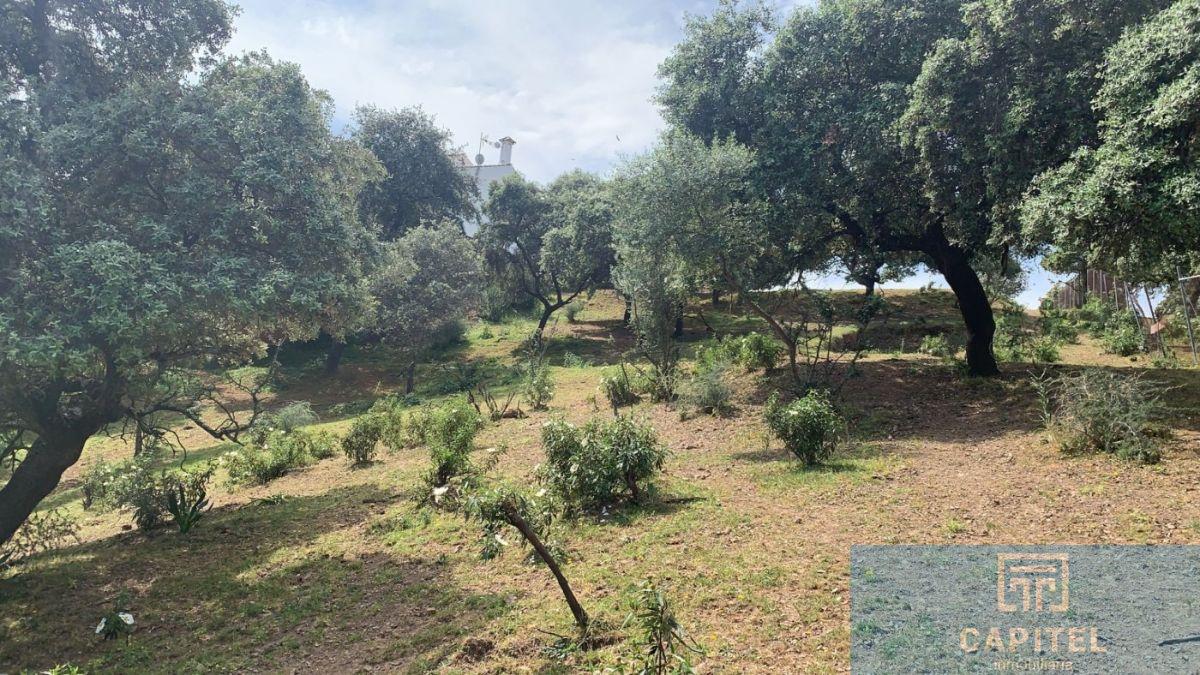 For sale of land in Córdoba