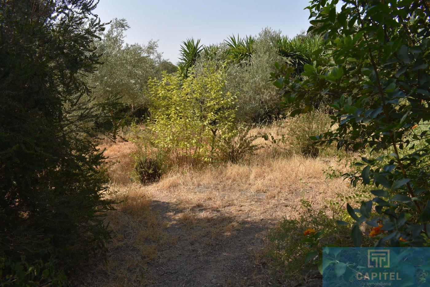 For sale of land in Córdoba