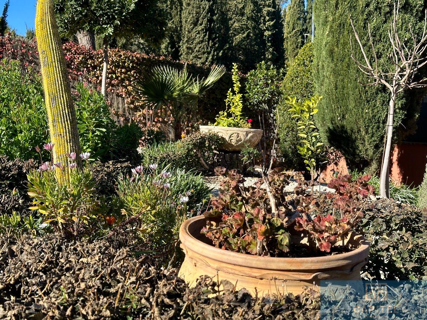 Venta de chalet en Córdoba
