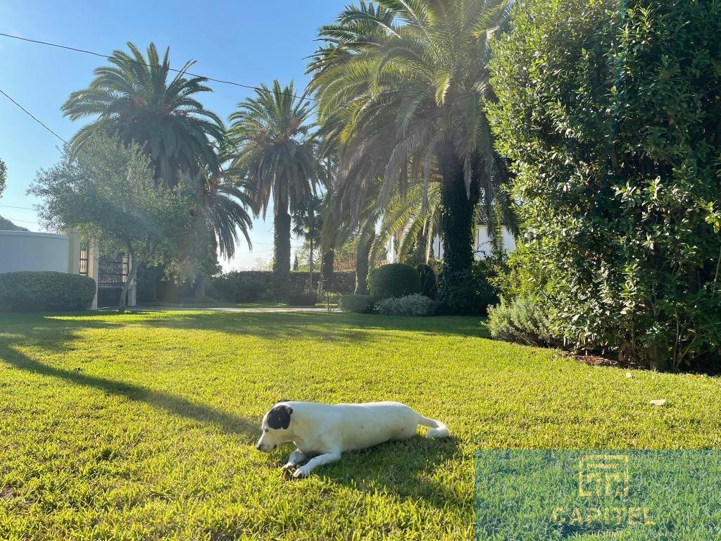Venta de chalet en Córdoba
