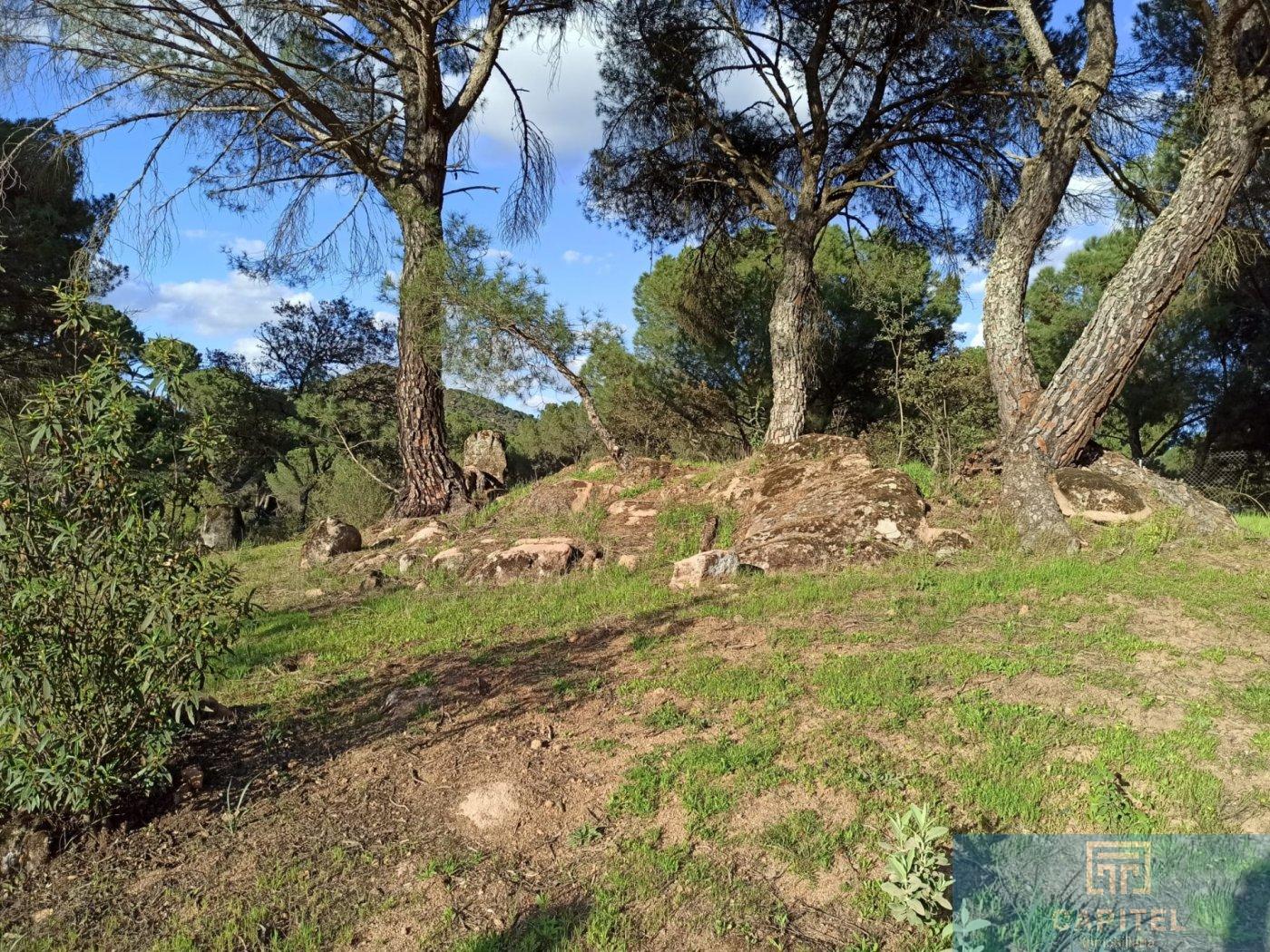 For sale of land in Córdoba