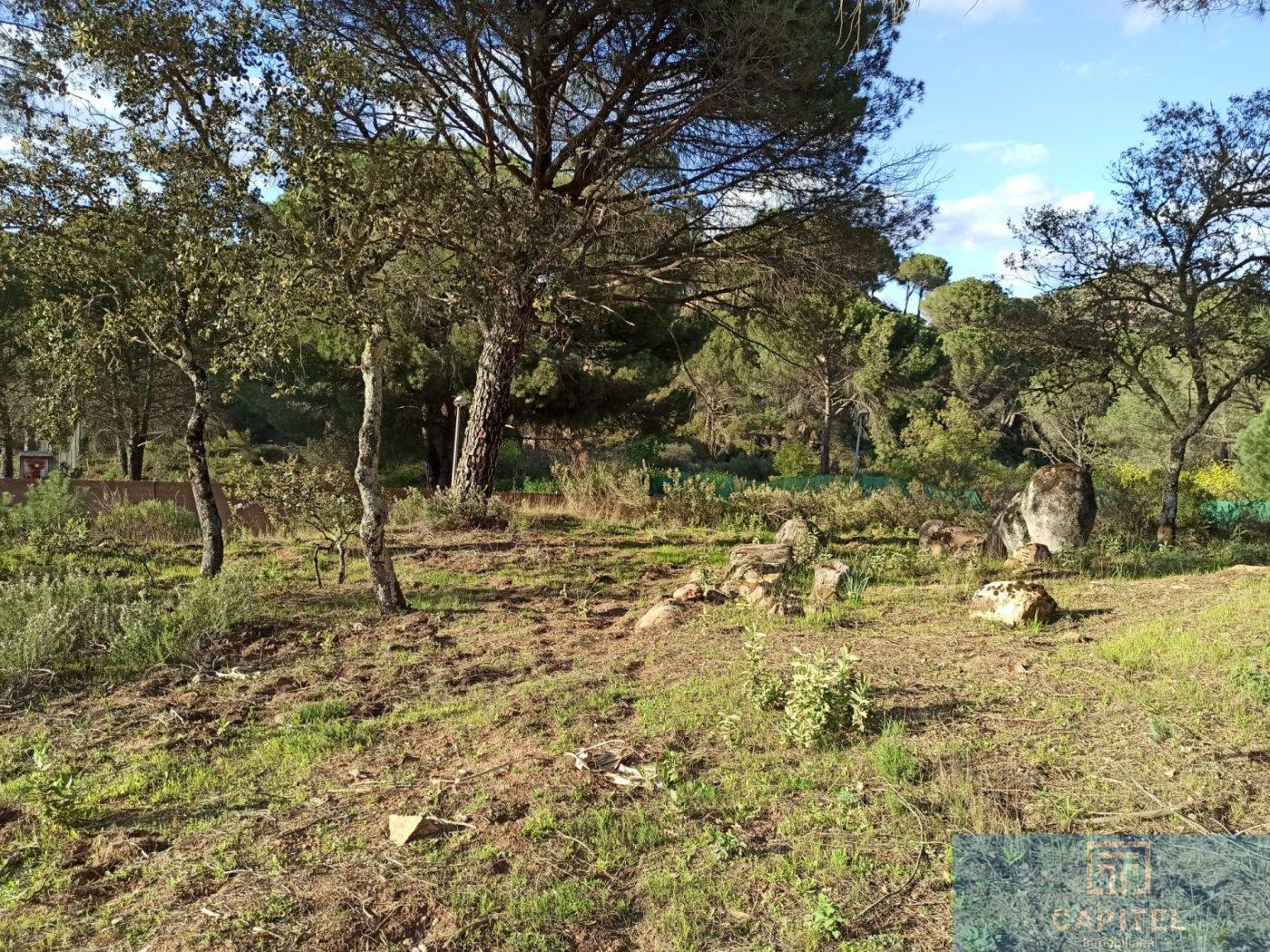 For sale of land in Córdoba