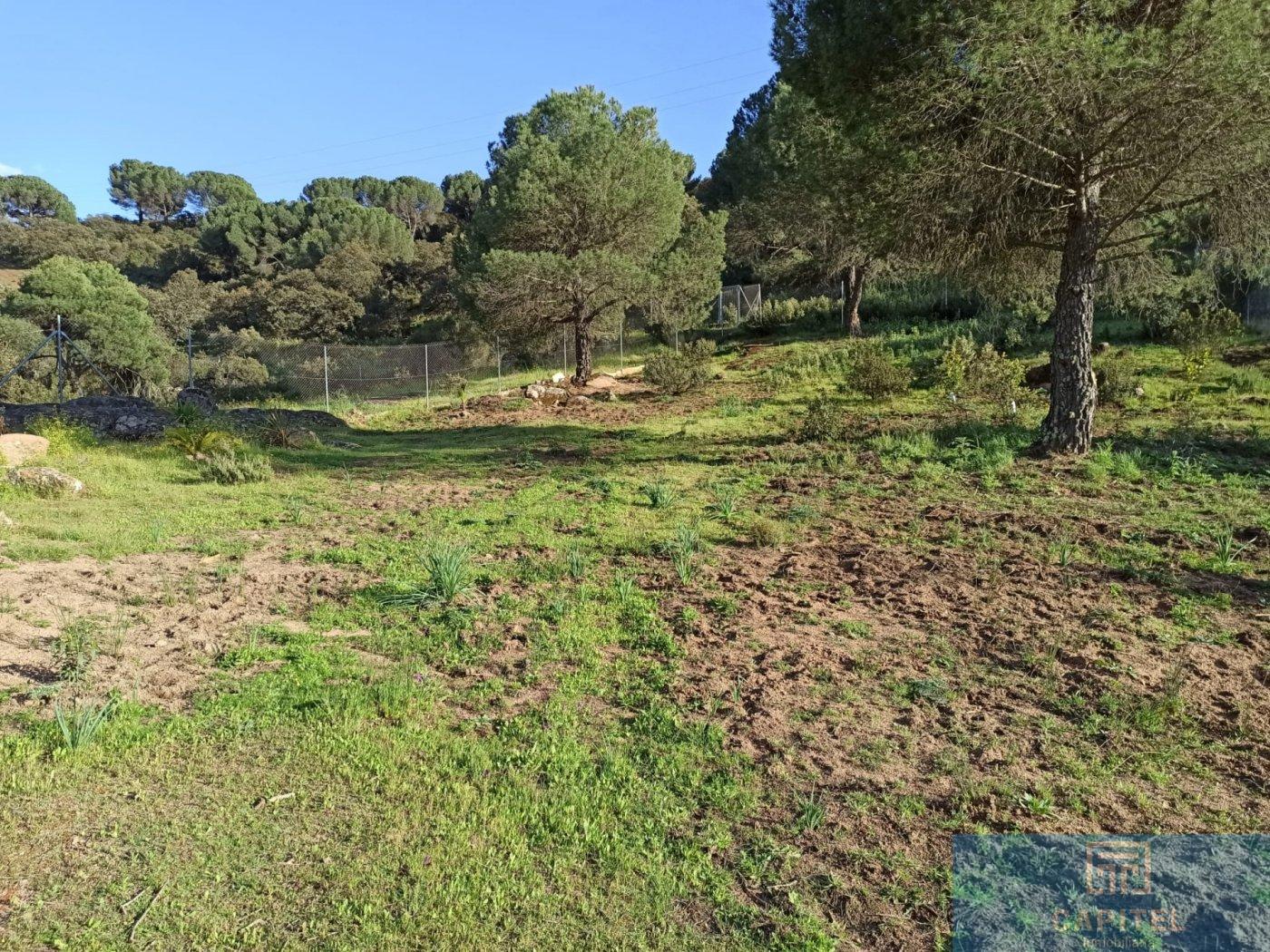 For sale of land in Córdoba