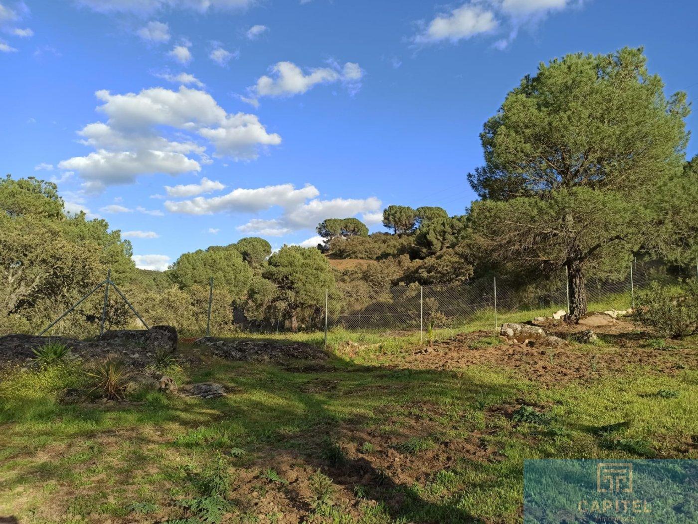 For sale of land in Córdoba