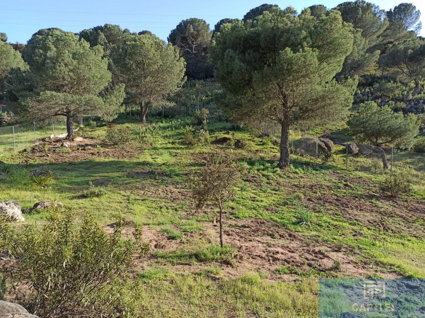 For sale of land in Córdoba