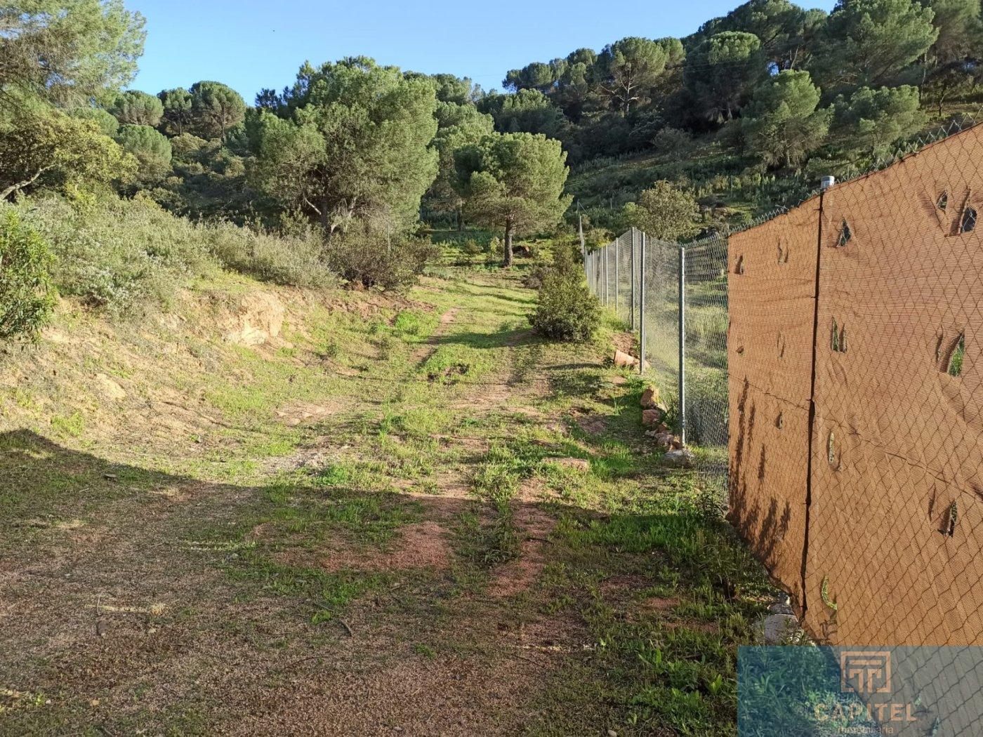For sale of land in Córdoba