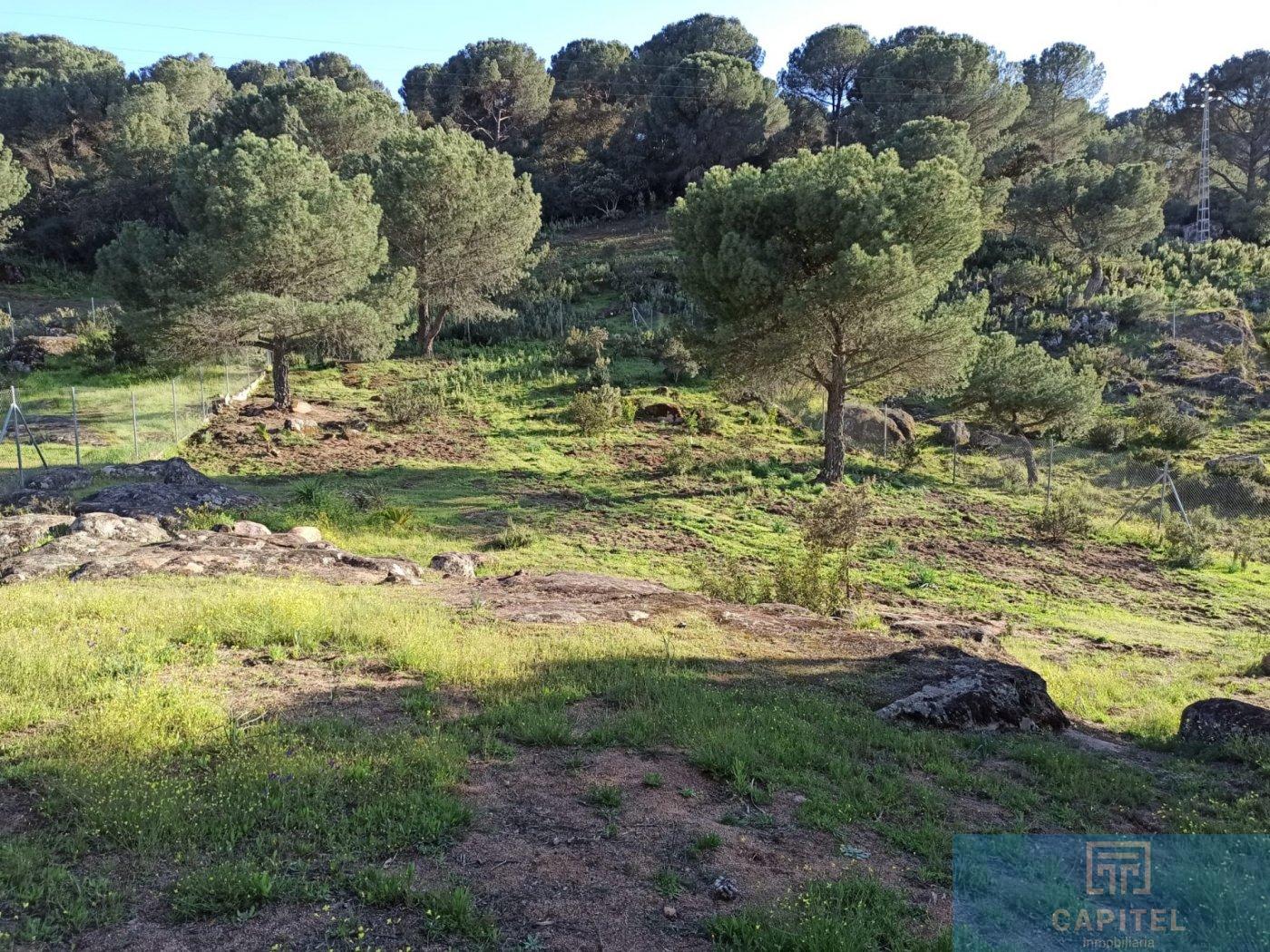 For sale of land in Córdoba