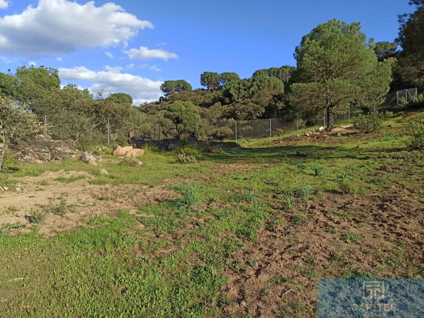 For sale of land in Córdoba