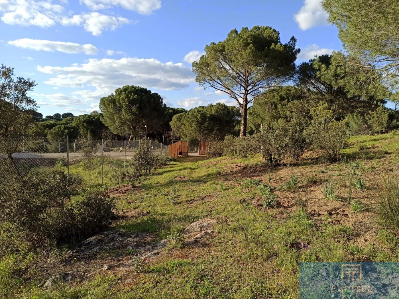For sale of land in Córdoba