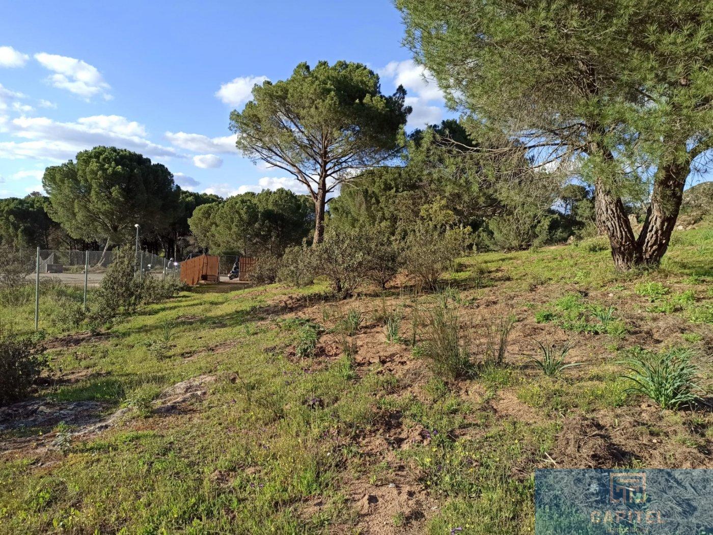 For sale of land in Córdoba