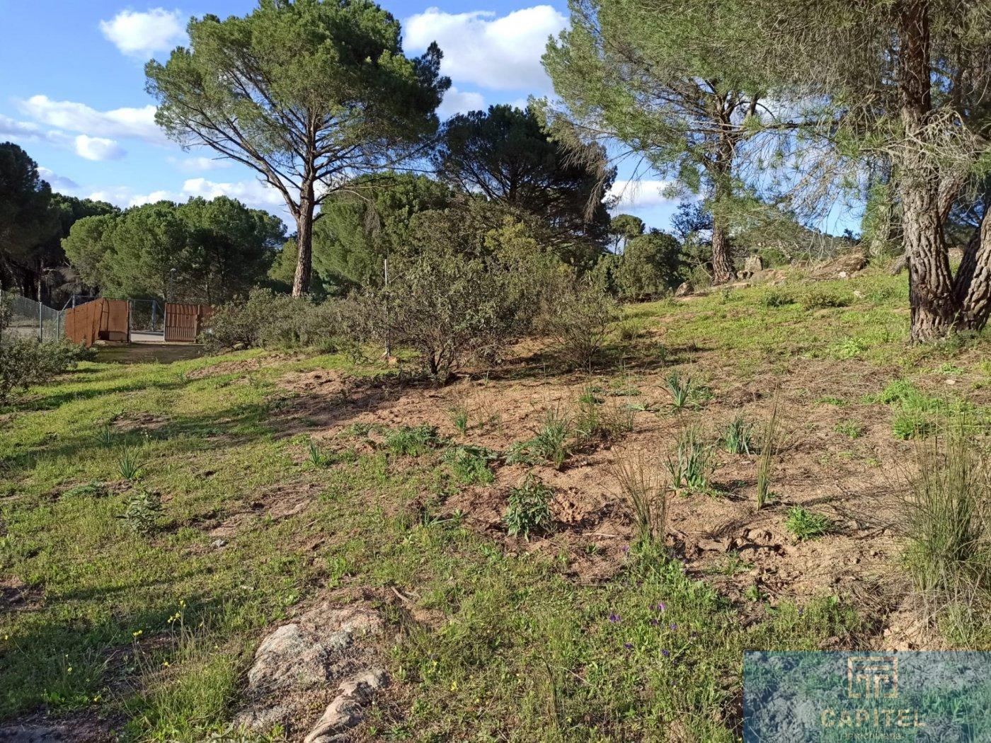 For sale of land in Córdoba