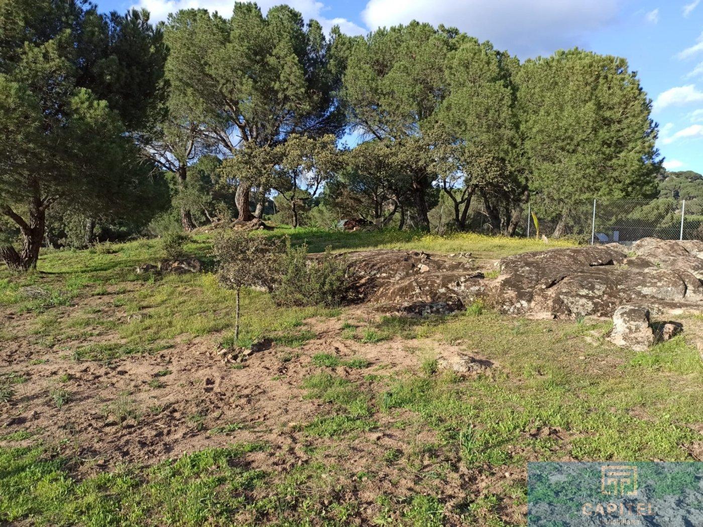 For sale of land in Córdoba