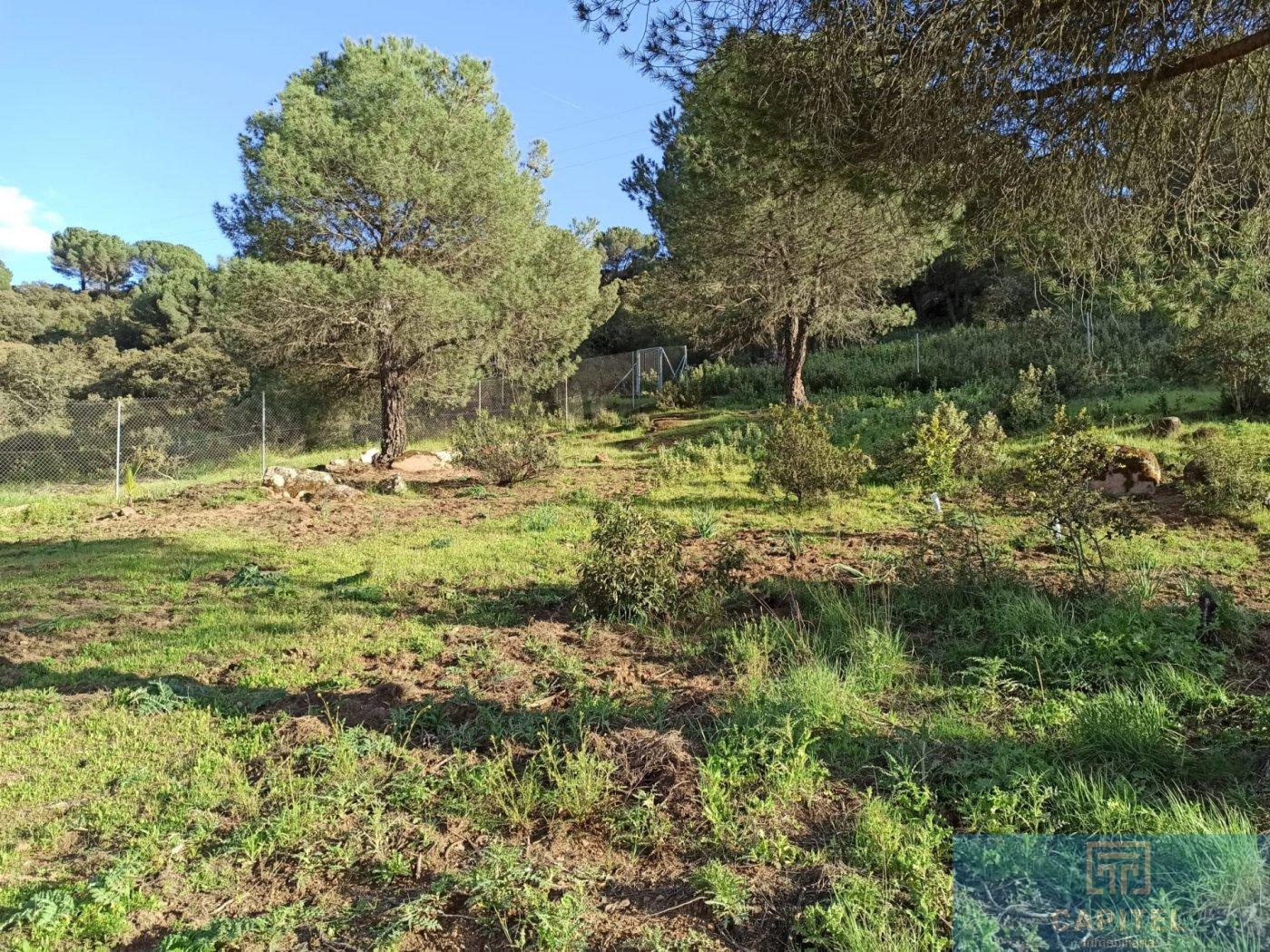 For sale of land in Córdoba