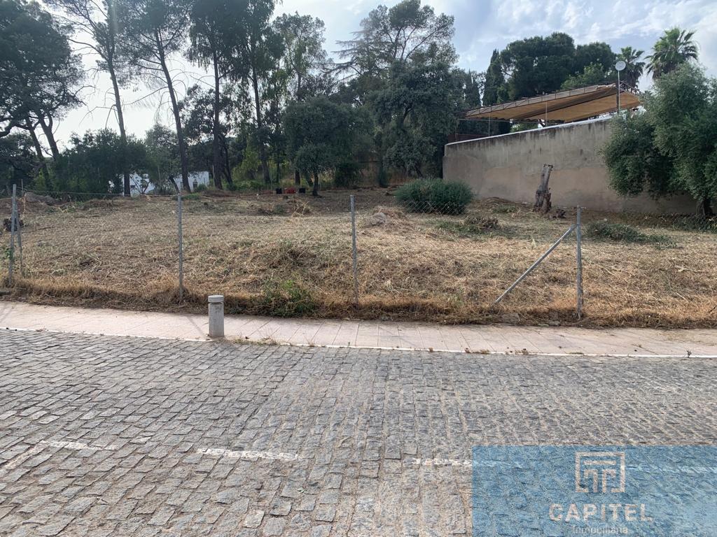 For sale of land in Córdoba