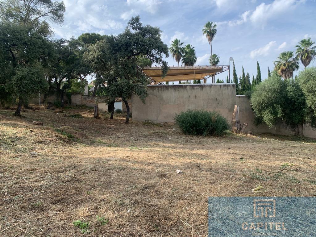 For sale of land in Córdoba