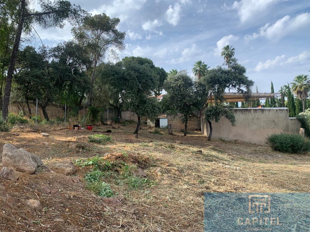 For sale of land in Córdoba