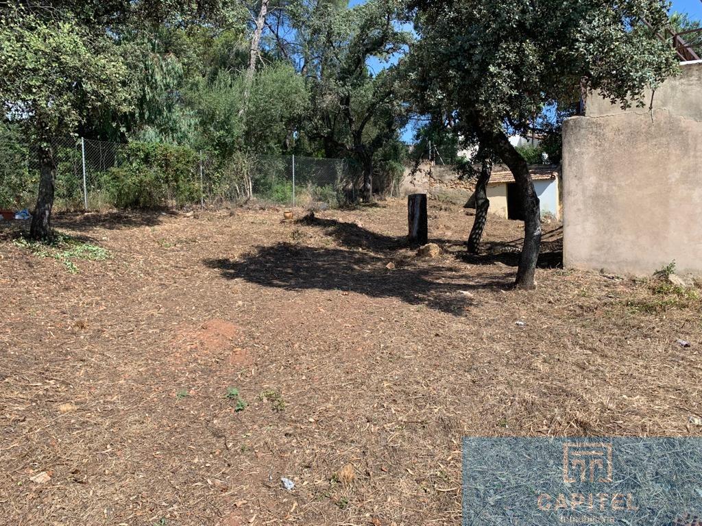 For sale of land in Córdoba