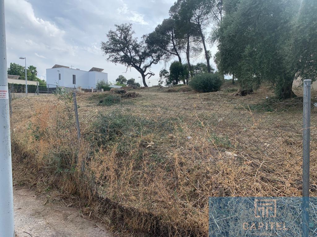 For sale of land in Córdoba