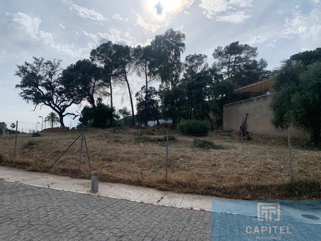 For sale of land in Córdoba