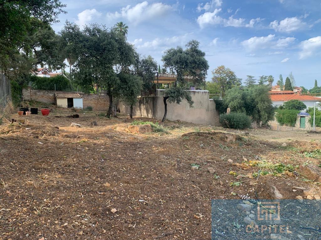 For sale of land in Córdoba