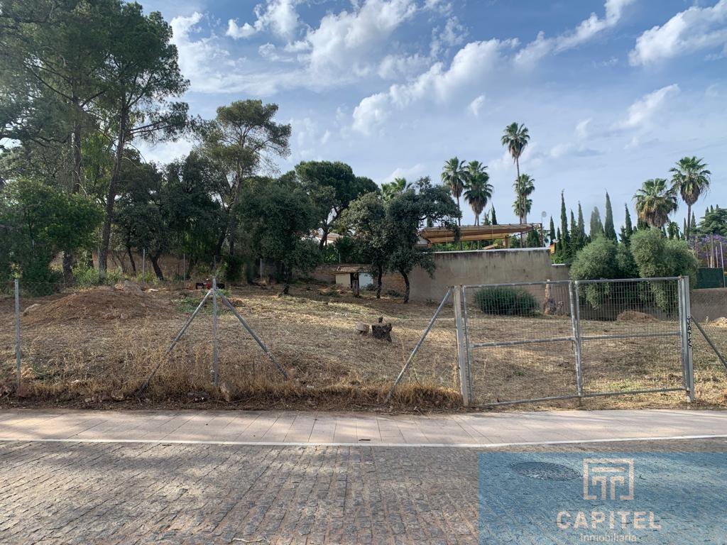 For sale of land in Córdoba