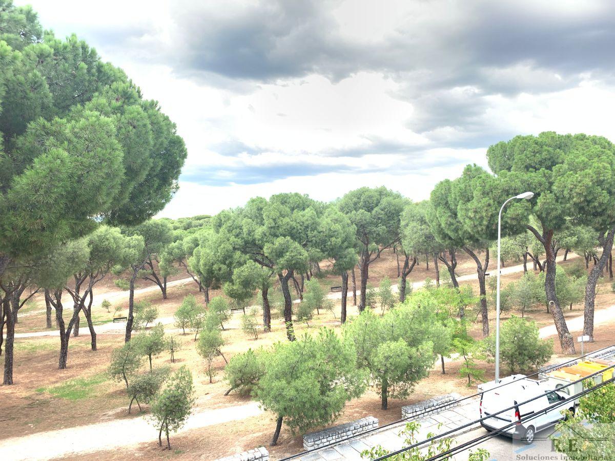 For rent of duplex in Madrid