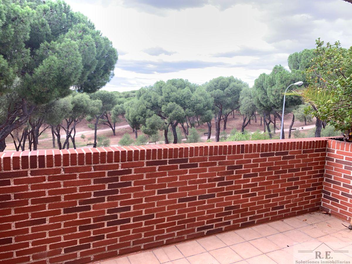 For rent of duplex in Madrid
