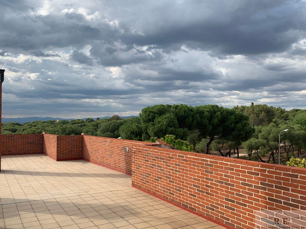 For rent of duplex in Madrid