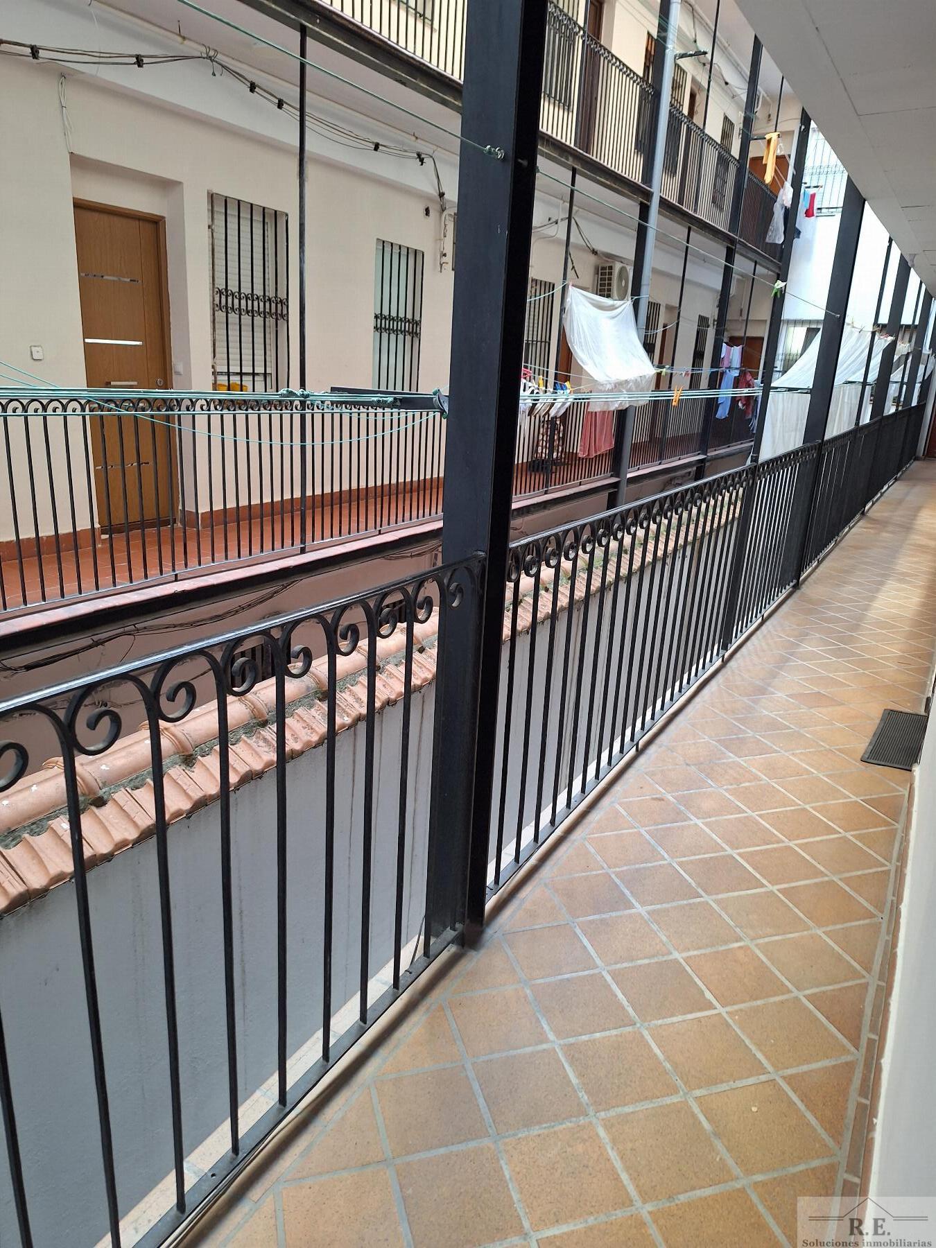 For rent of apartment in Madrid