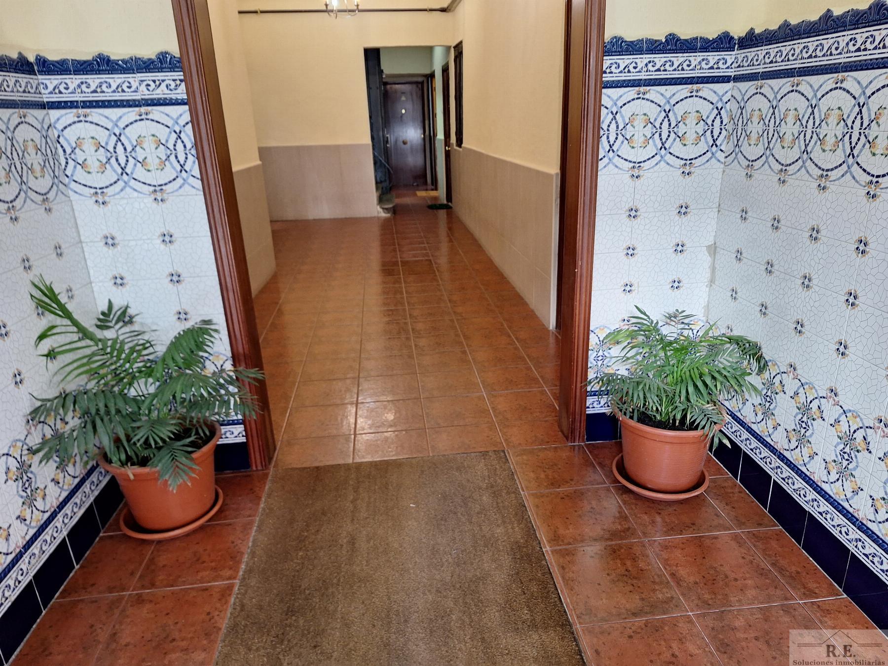 For rent of flat in Madrid