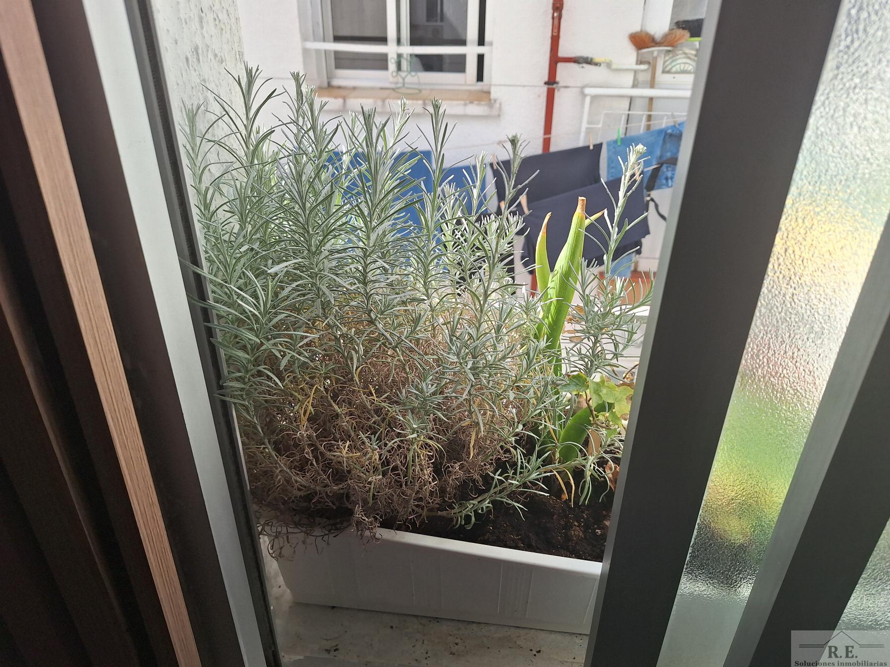 For sale of flat in Madrid
