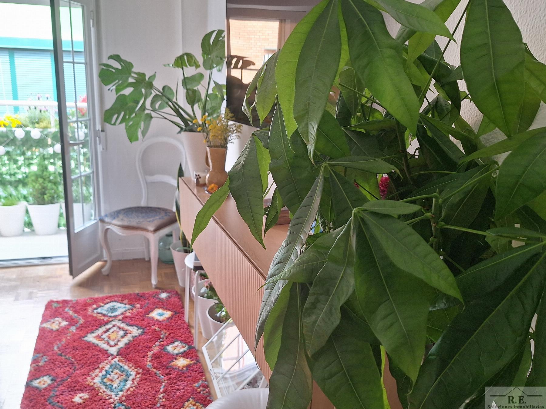 For sale of flat in Madrid