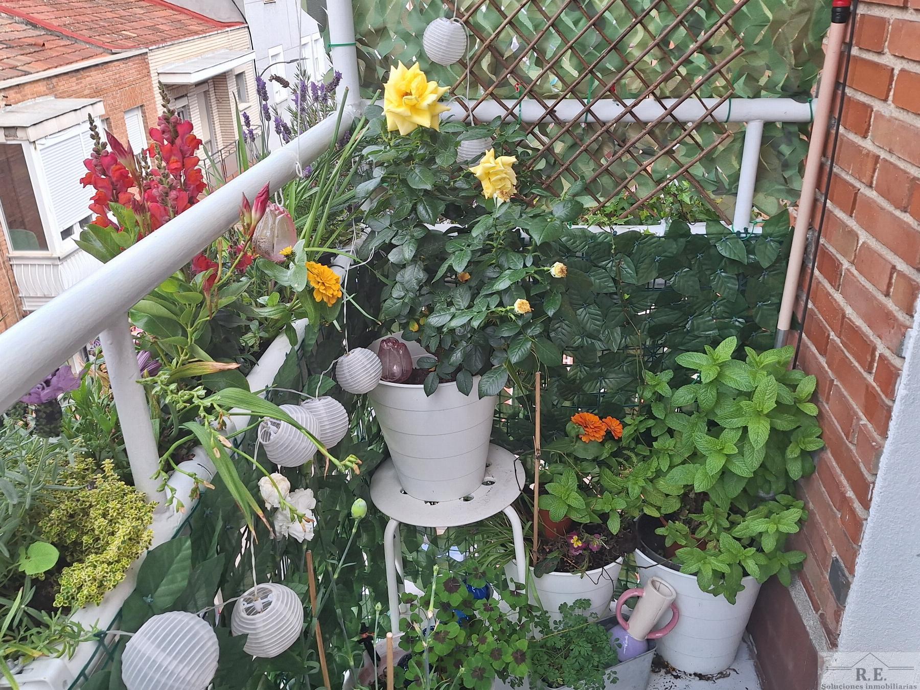 For sale of flat in Madrid