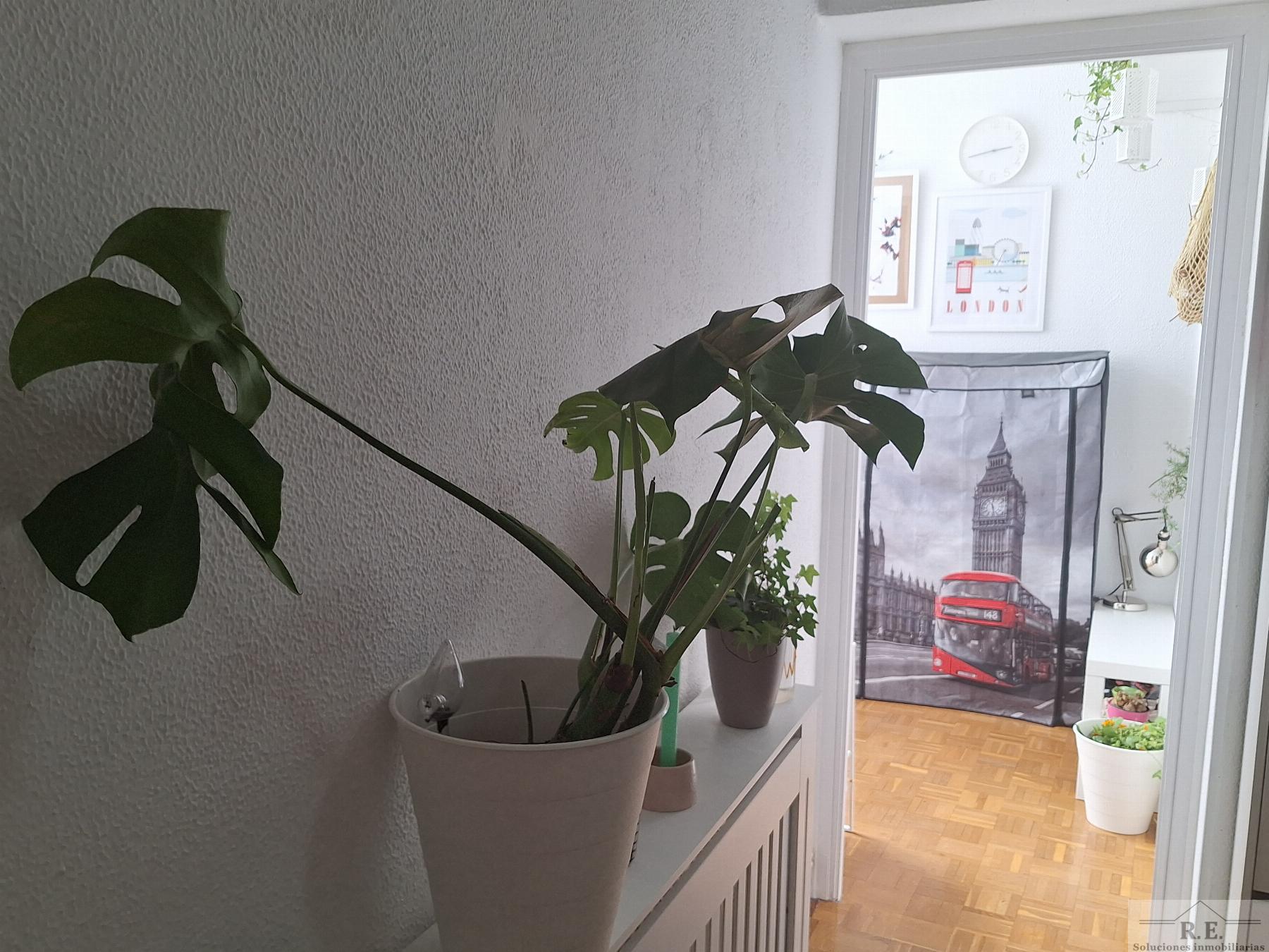 For sale of flat in Madrid