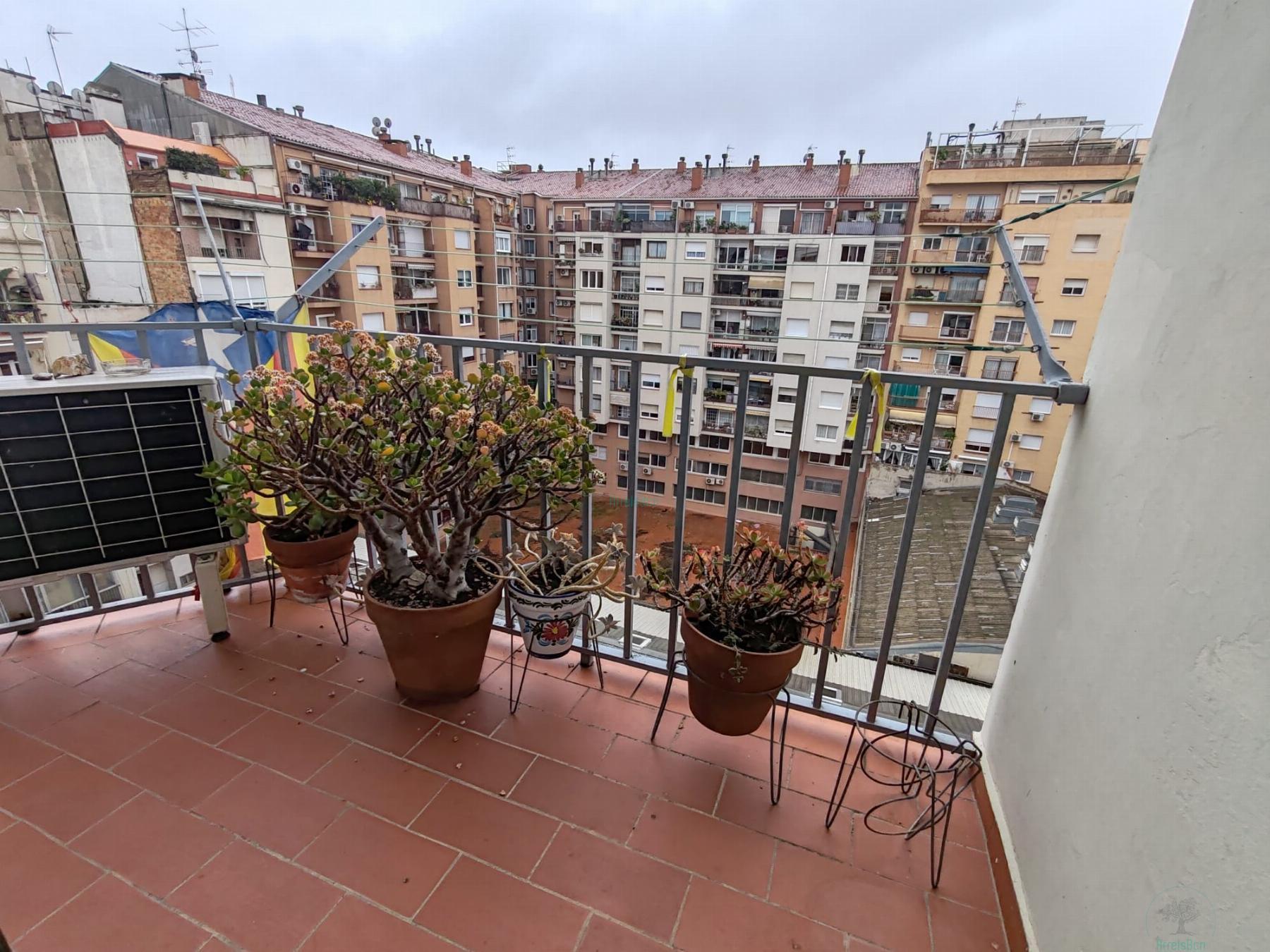 For rent of flat in Barcelona