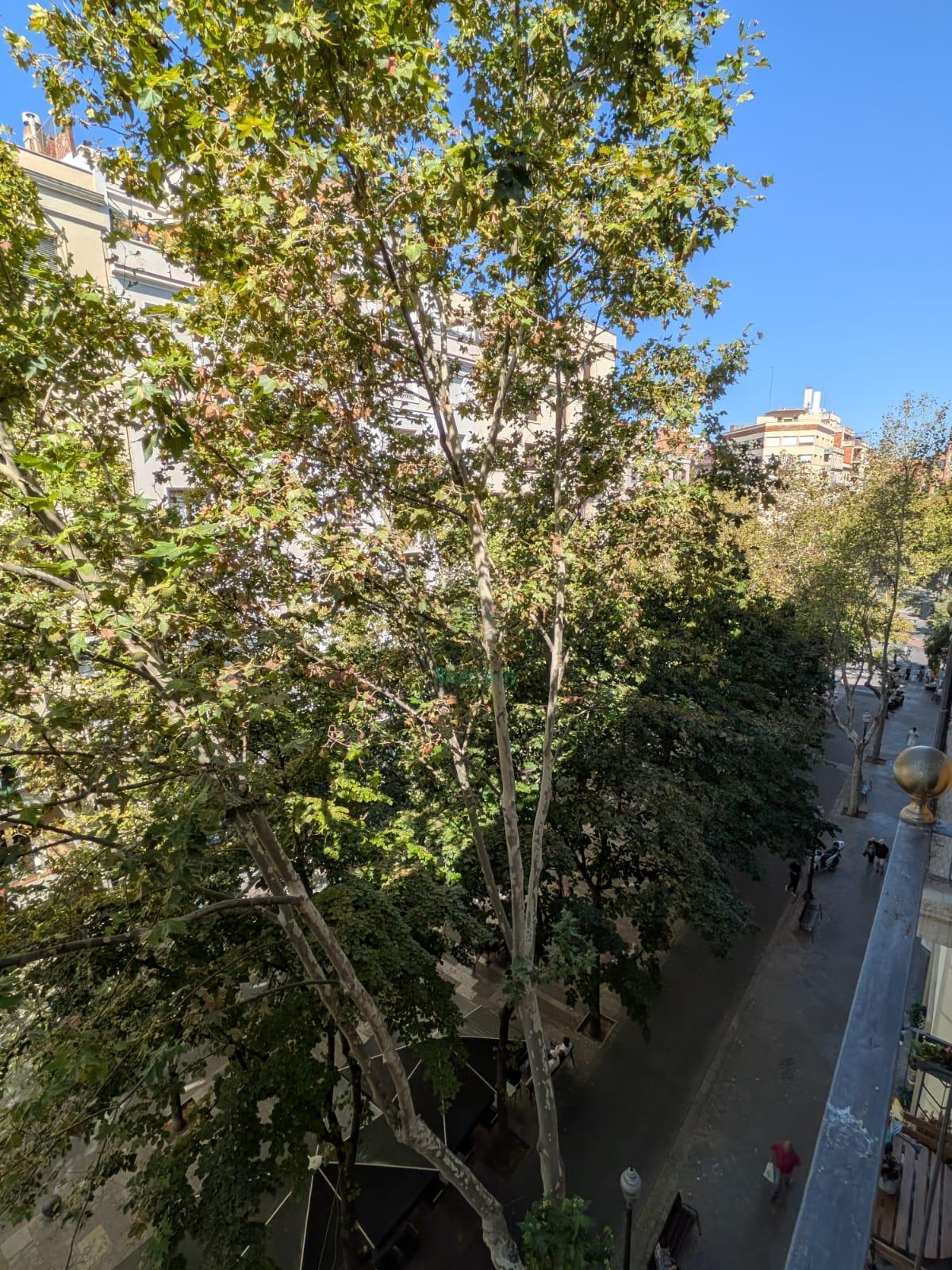 Venta de piso en Barcelona