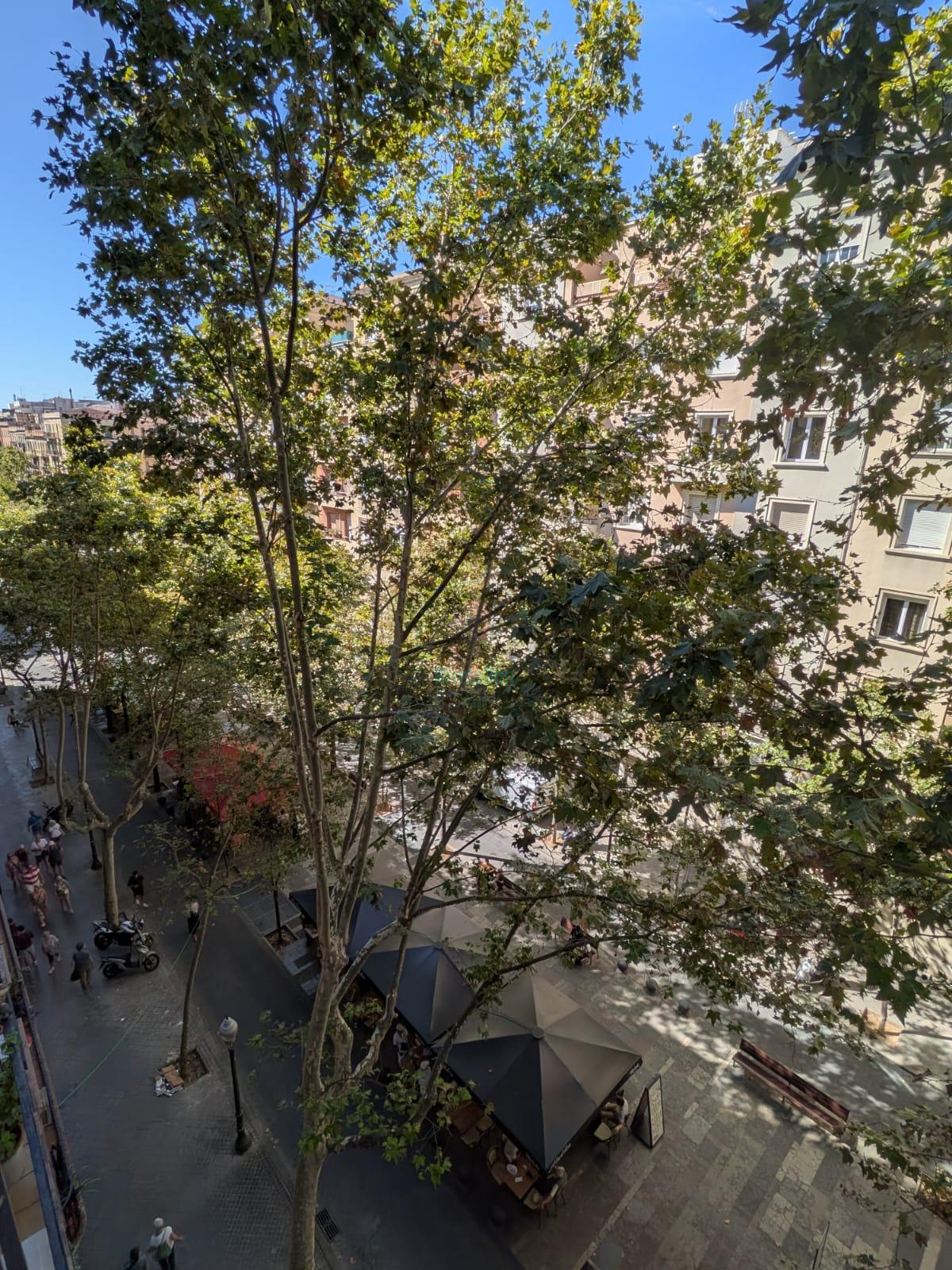 Venta de piso en Barcelona