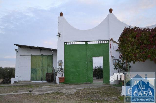 Venta de finca de recreo en Mérida