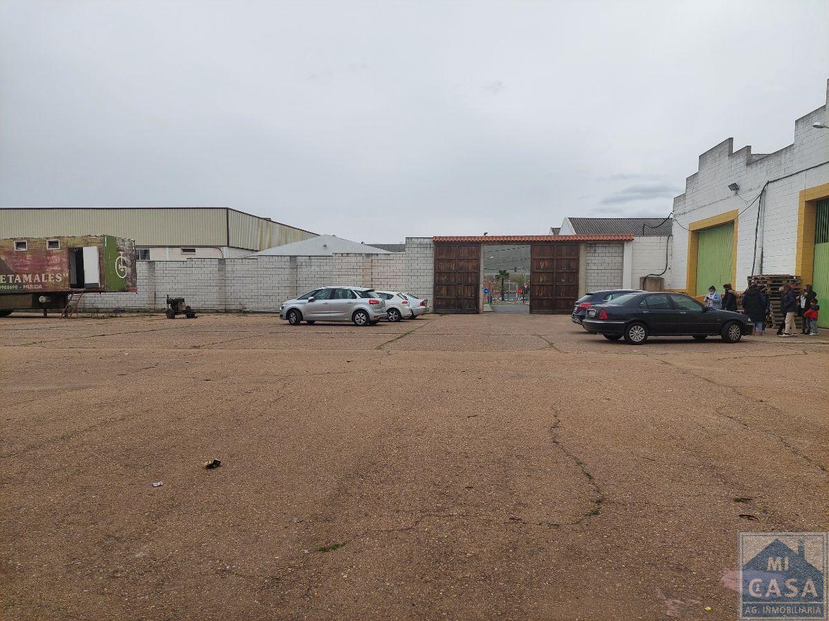 For rent of industrial plant/warehouse in Mérida