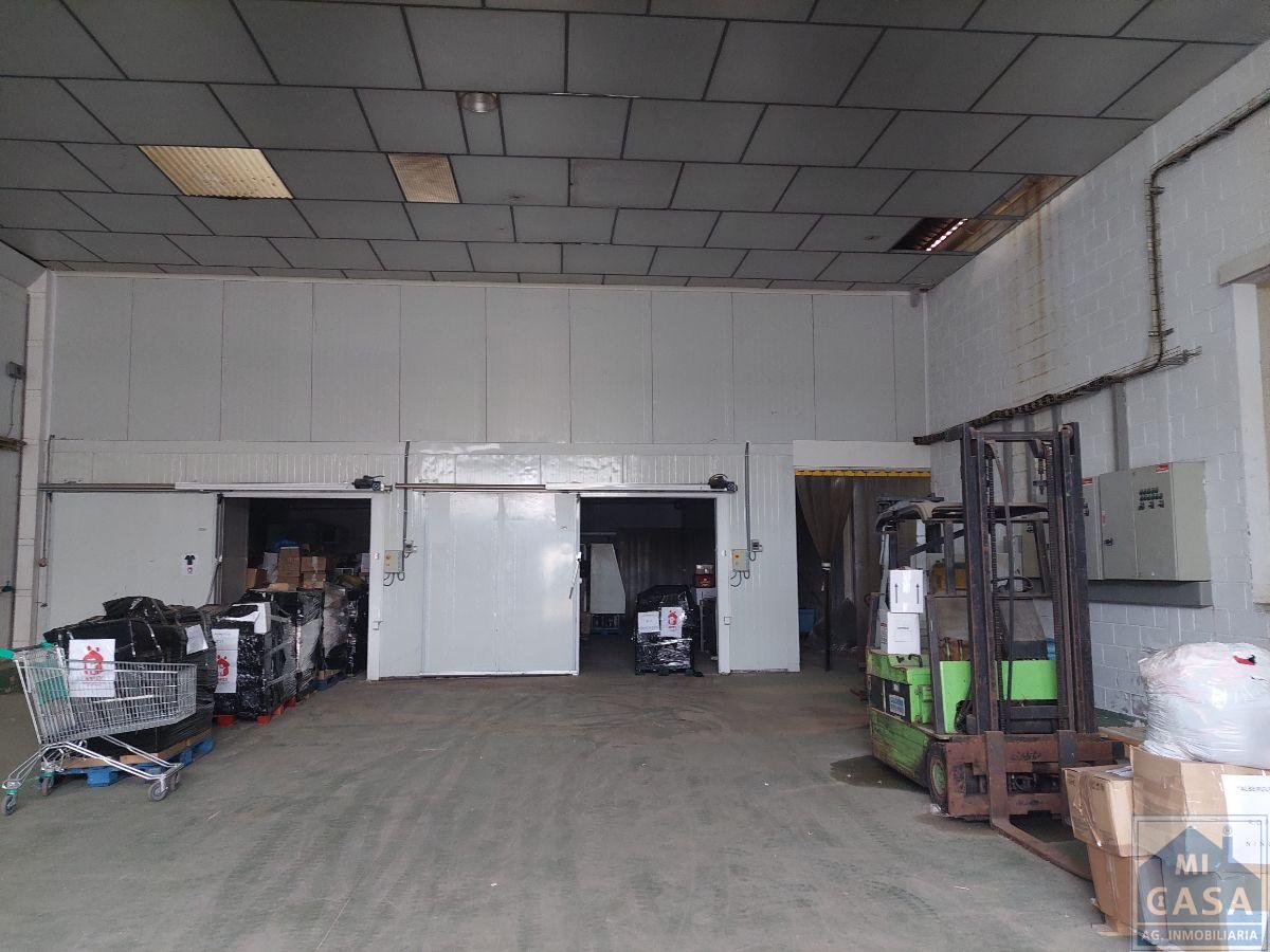 For rent of industrial plant/warehouse in Mérida