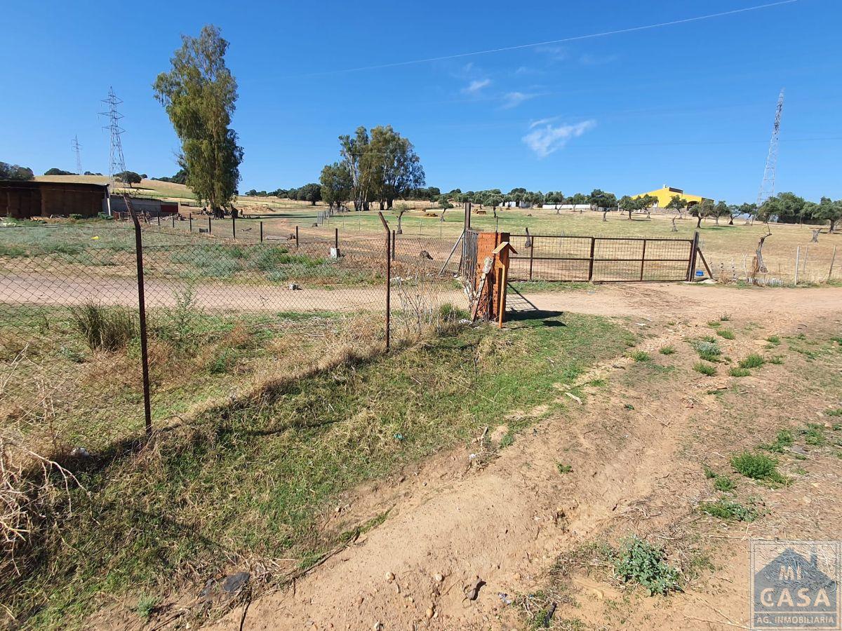 Venta de finca rústica en Mérida