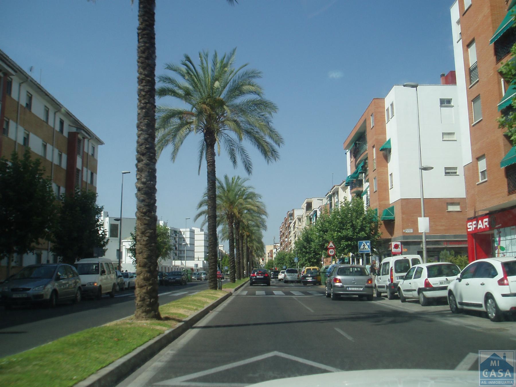 Local en alquiler en Juan Carlos I, Merida