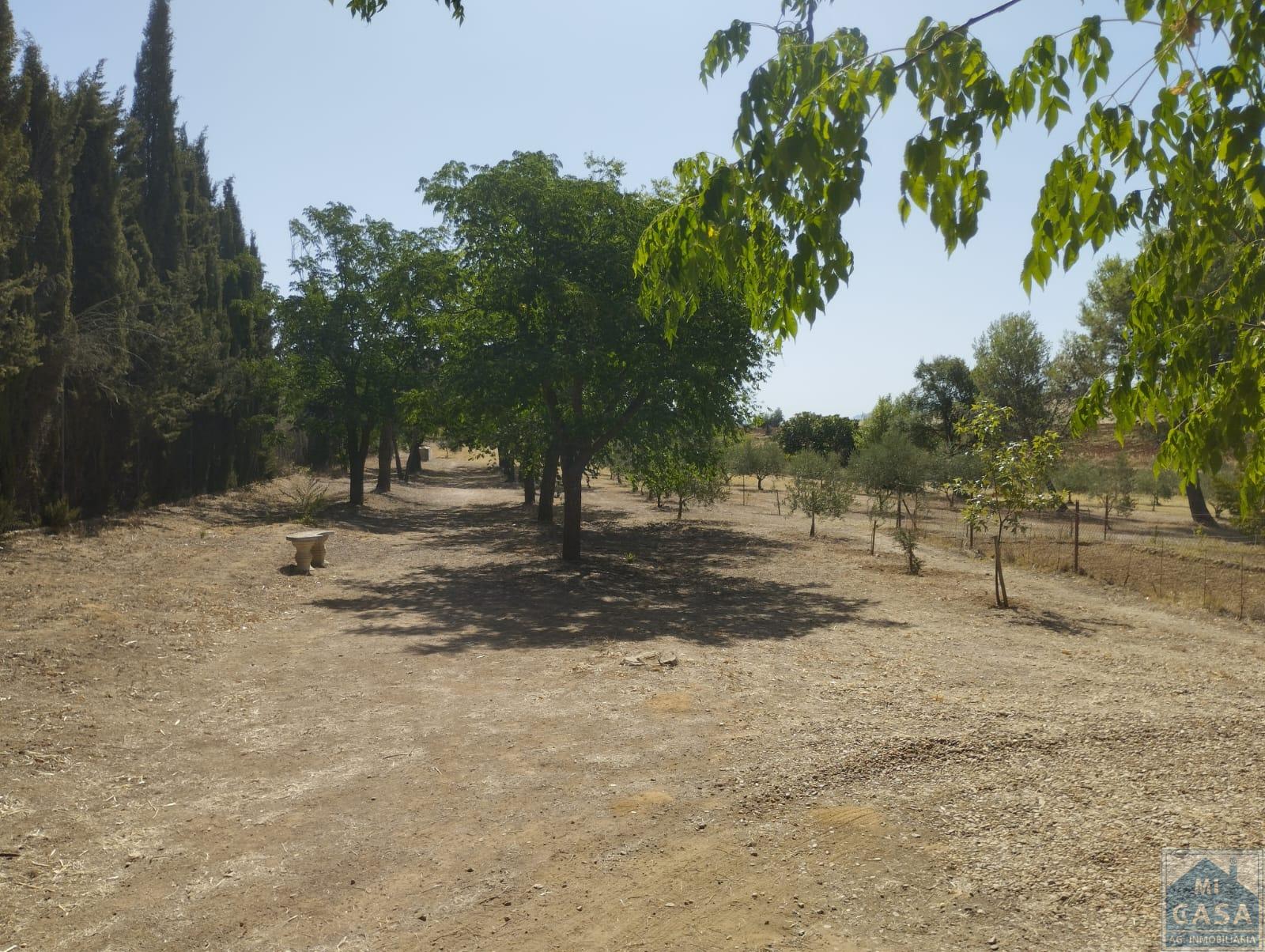 For sale of house in Don Álvaro