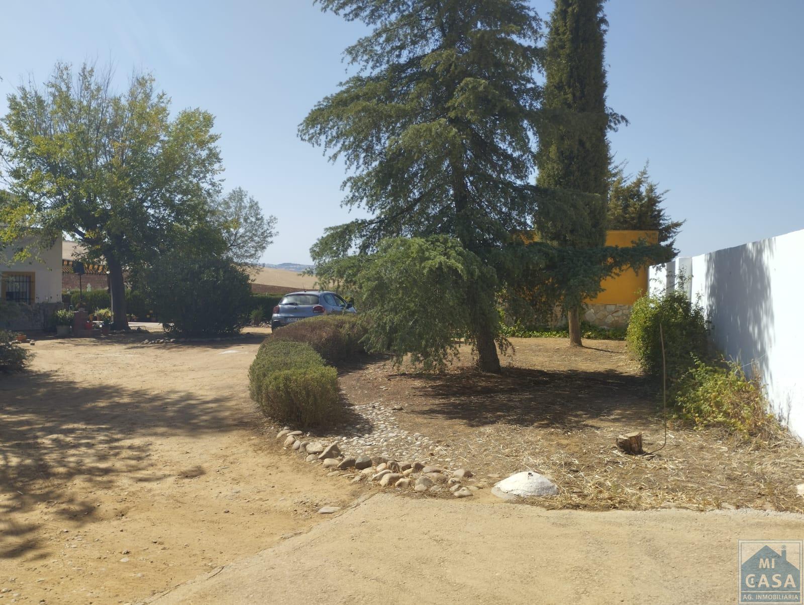 For sale of house in Don Álvaro