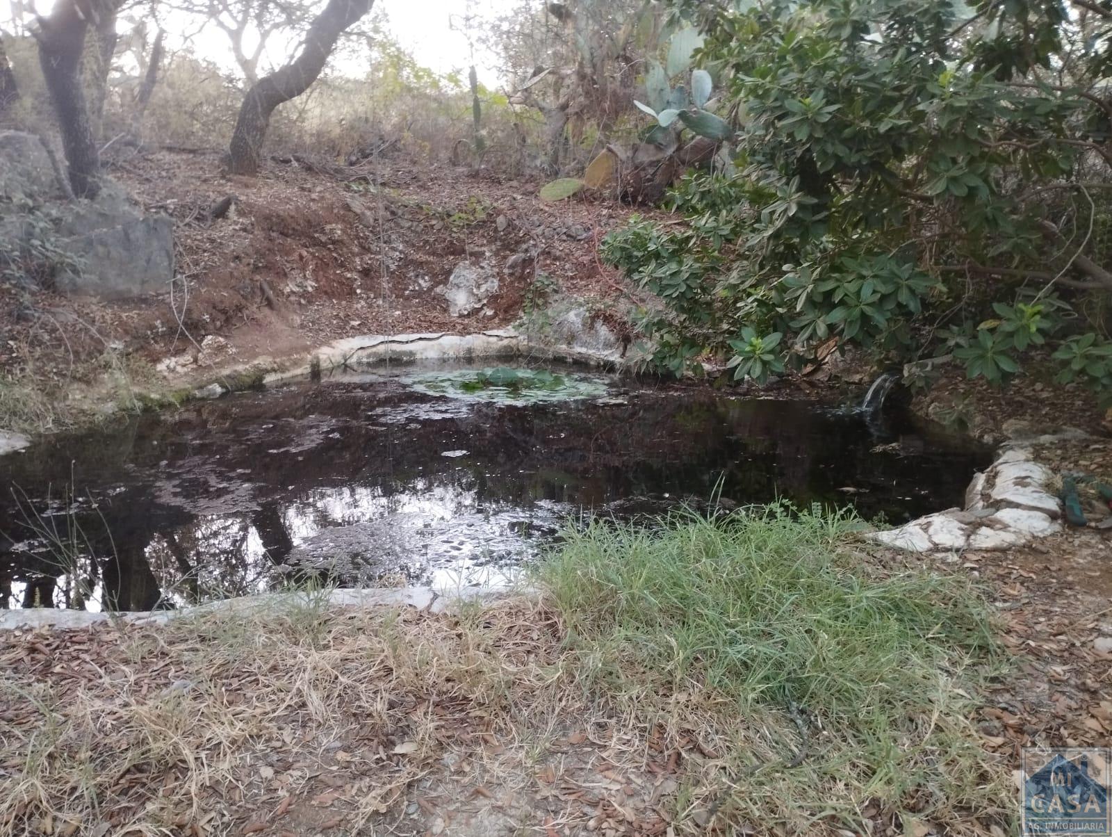 Venta de finca rústica en Valverde de Mérida