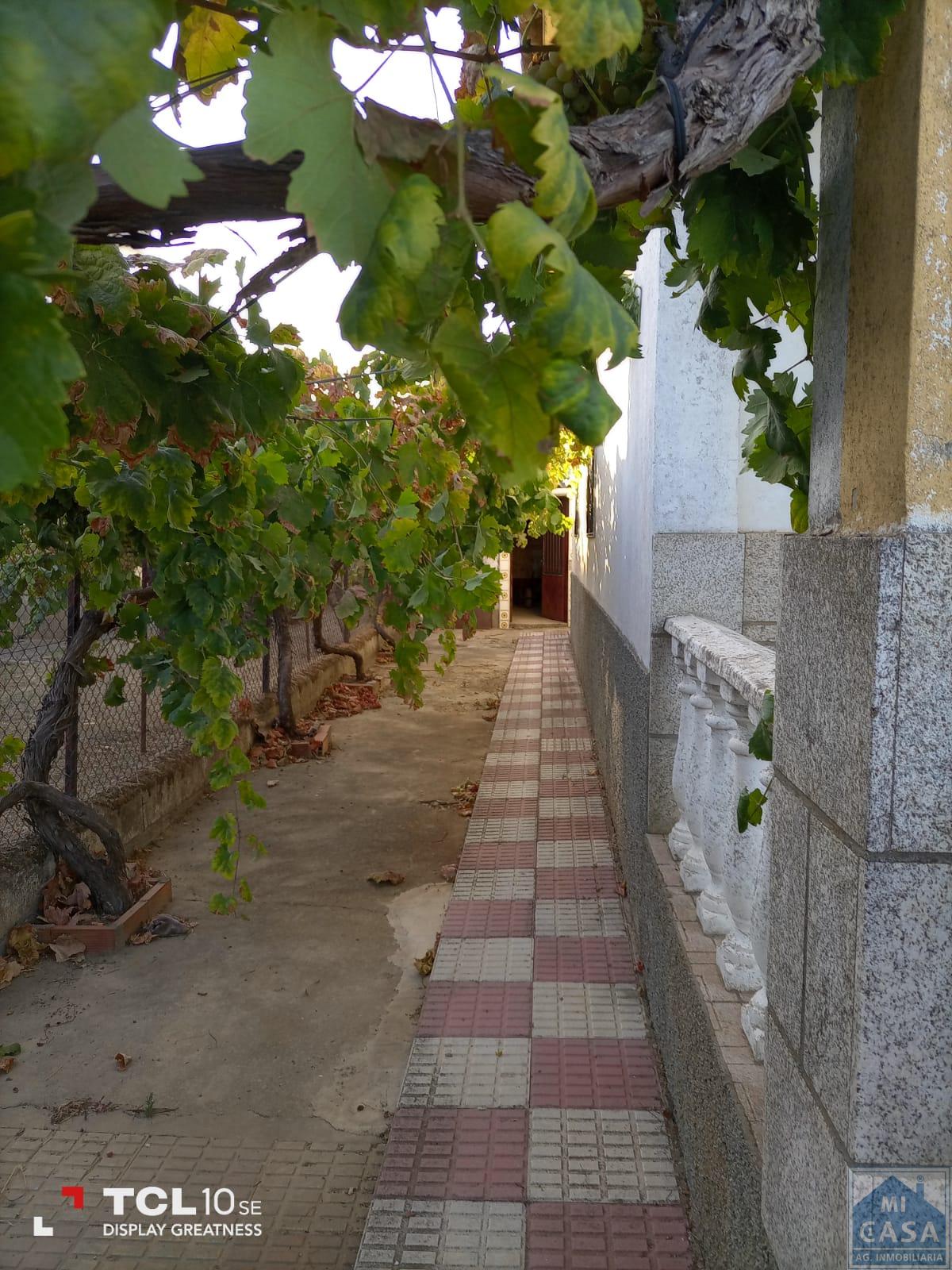 For sale of chalet in Alcuéscar