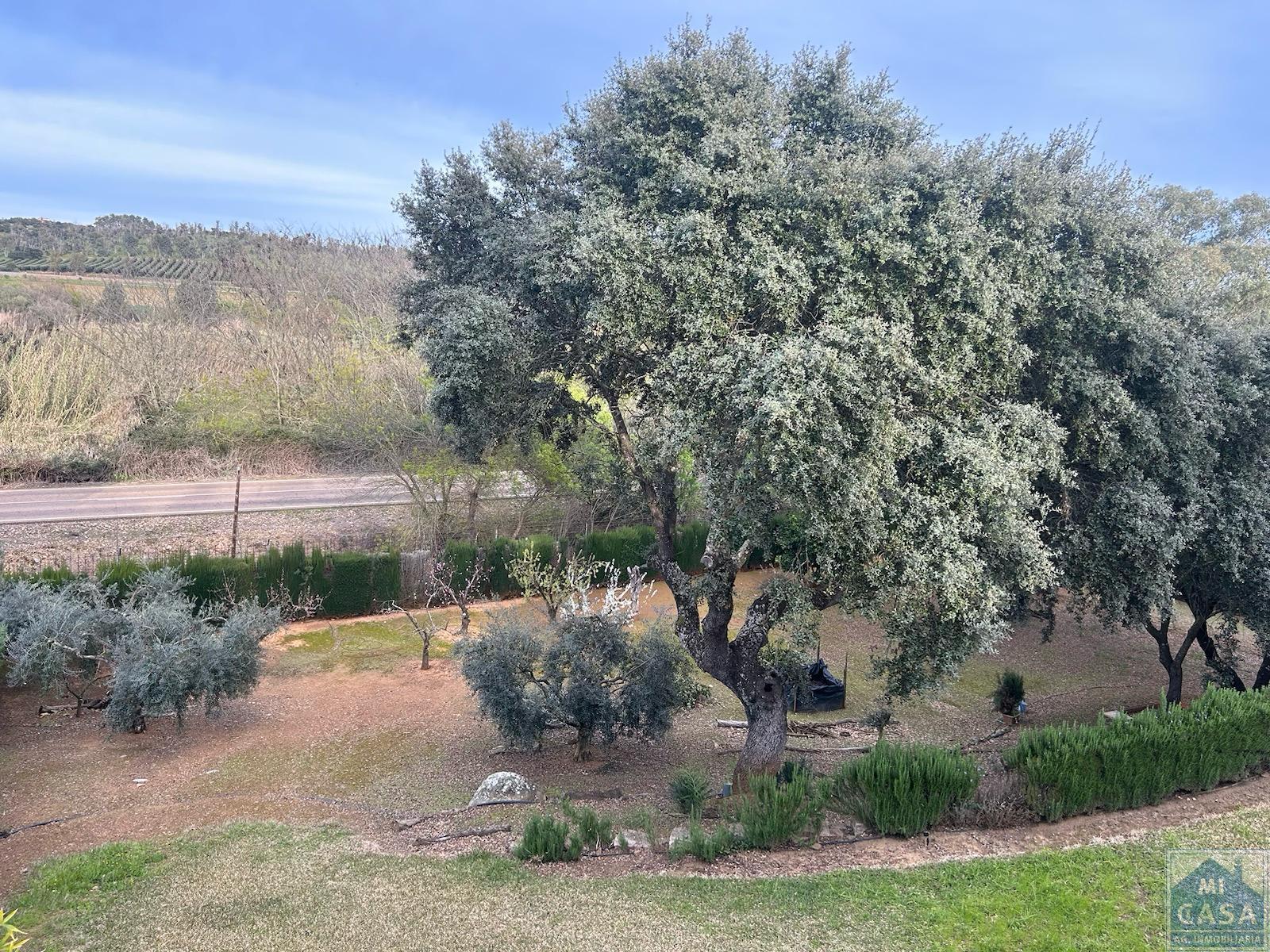 For sale of house in Mérida